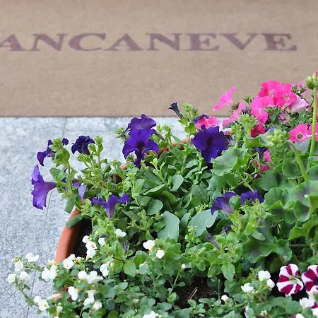 Biancaneve